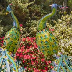 two colorful peacocks standing next to each other in front of some bushes and flowers