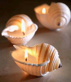 three seashell shaped candles sitting on top of a table