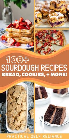 the cover of 100 + sourdough recipes bread, cookies, and more by practical self reliance