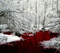 a stream running through a forest covered in snow next to tall trees with red slats on them