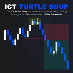 an image of a book cover with the words ict turtle soup in blue on it