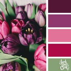 a bouquet of tulips is shown in the color pink and green, along with two shades of purple