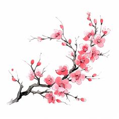 a painting of pink flowers on a branch with watercolors in the bottom right corner