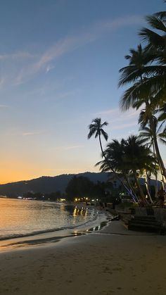 palm trees line the beach as the sun sets