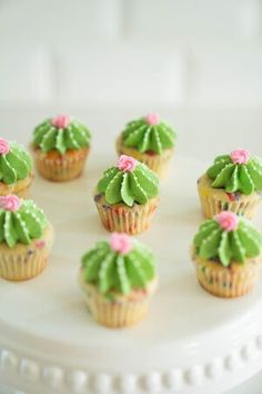 cupcakes decorated with green frosting and pink flowers on a white cake plate