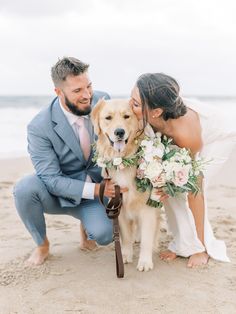 a bride and groom pose with their dog on the beach