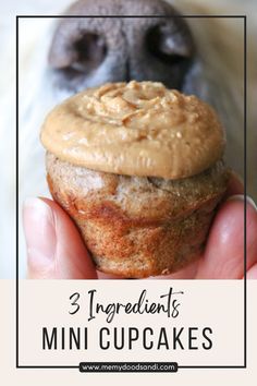 a person holding a cupcake with peanut butter on top and the words 3 ingredients for mini cupcakes