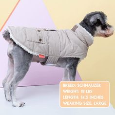 The package contains Dog Cold Weather Coats Cozy Windproof Padded Sherpa Warm Dog Gray Jacket For Small Dogs With Furry Collar Dog Apparel. The dog's complete body coat is composed of thick polar fleece material that is soft and warm, does not fall off or fluff easily, and has high flexibility. Keep your fluffy puppy as warm and comfy as possible during the winter. The dog coats are double-layered fleece lined and will keep your wonderful pet warm throughout the cold weather. A good dog coat is Puppy Jacket, Dog Cold, Cold Weather Dogs, Dog Winter, Dog Winter Coat, Fluffy Puppies, Dog Vest, Collar Dog, Dog Jacket