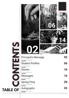 the table of contents is shown in black and white, with pink accents on it