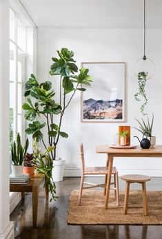 Become an indoor plant parent.
The post The best large decorative pots for indoor plants appeared first on Home Beautiful.