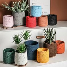 there are many pots on the shelf with plants in them and one has a succulent