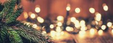 christmas lights are hanging from the branches of a pine tree in front of a wooden wall