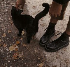 a black cat standing next to a person wearing black shoes on the ground with their feet up