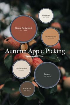 the autumn apple picking color scheme is shown in shades of brown, red and white