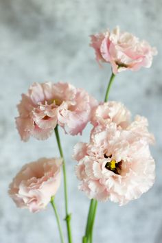 three pink flowers in a vase on a table