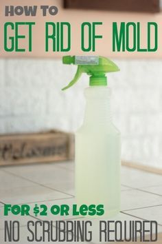 a close up of a bottle of cleaner on a tiled floor with the words how to get rid of mold for 2 or less no scrubbing required