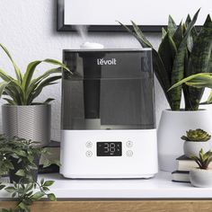 a coffee maker sitting on top of a counter next to potted plants