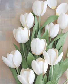 white tulips with green leaves are arranged in a vase on a table top