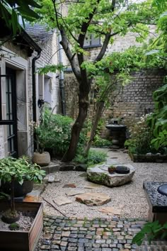 an outdoor courtyard with stone steps and trees