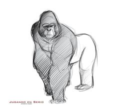 a drawing of a gorilla standing in front of a white background