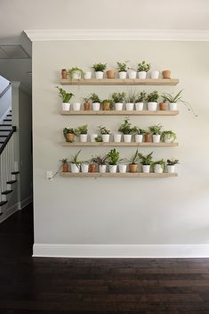 the wall is filled with pots and plants on wooden shelves, along with a stair case