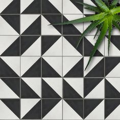 a green plant sitting on top of a black and white tiled floor