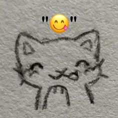 a drawing of a cat with a smiley face drawn on it's back ground