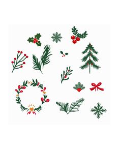 christmas wreaths and pine branches with holly berry berries and mistle on white background