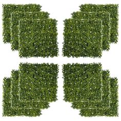 Create a lush privacy screen or backdrop with our artificial grass wall panels. Easy to install and weather-resistant, they offer the beauty of greenery without the maintenance. Boxwood Wall, Artificial Grass Wall, Grass Backdrops, Fence Screen, Privacy Fence Screen, Artificial Hedges, Boxwood Hedge, Artificial Plant Wall, Grass Wall