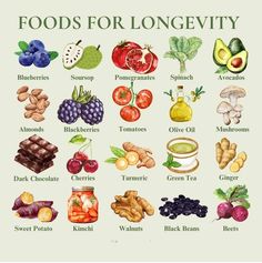 an illustration of foods for longevity