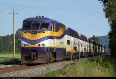 a blue and yellow train traveling down tracks next to a lush green field on a sunny day