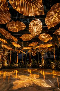 the ceiling is decorated with lights and large leaf shaped umbrellas hanging from it's sides