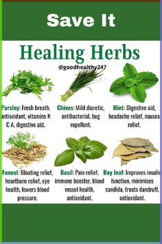 Benefits Of Herbs, Food Health Benefits, Healing Herbs