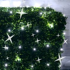 a large green bush with white stars on it's sides and lights hanging from the top