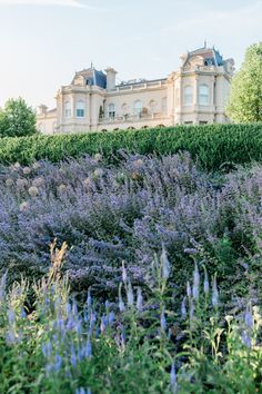 a large building sitting on top of a hill covered in lots of purple flowers and greenery