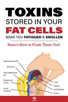 visual illustration of toxins stored in fat cells in body with text - toxins stored in your fat cells make you fatigued & swollen. Here's how to flush them out! Toxin Cleanse, Body Toxins, Makanan Diet, Abdominal Fat, Cleanse Your Body, Liver Health, Body Detox, Detox Your Body, Healthy Smoothie