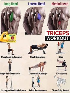 an image of a poster with exercises for the lower back and upper body workouts