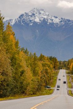 fun facts about alaska Facts About Alaska, Travel To Alaska, Alaska Travel Guide, Alaska Travel, Living In Alaska, Amazing Facts, Travel Adventure, Facts About, Adventure Travel