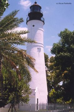 a white and black light house surrounded by trees