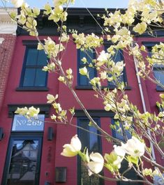 a tree with white flowers is in front of a red building that has black windows