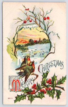 an old fashioned christmas card with birds and holly