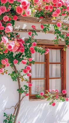 pink flowers growing on the side of a white building with an open window and wooden shutters