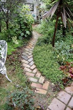 a stone path in the middle of a garden