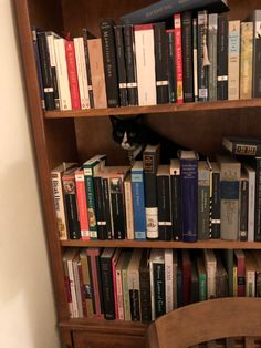 a bookshelf filled with lots of books and a black cat sitting on top of it