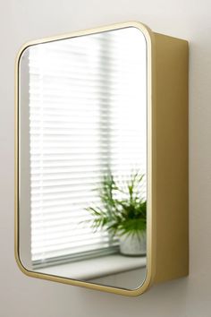 a mirror mounted to the side of a wall next to a potted green plant