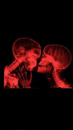 two skeletons in the dark with their heads turned to look like they're talking