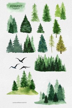 watercolor trees and birds in the forest