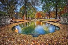 a pond in the middle of a park surrounded by trees and leaves on the ground