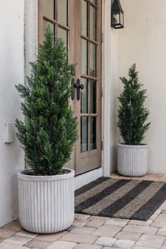 two potted trees sitting on top of a stone floor next to a door way