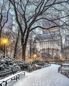 a snowy park with benches and street lights in the foreground, surrounded by tall buildings